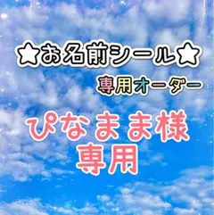 ＊＊＊ぴなまま様専用＊＊＊