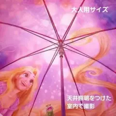 東京ディズニーシー ビリーヴ 日傘 雨傘 晴雨兼用 折りたたみ傘