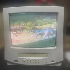 Panasonic　ハイビジョンプラズマテレビ50型　ＴＨ－５０ＰＺ８０ TH-50PZ800 概要 - 地上・BS・110度CSデジタルハイビジョン