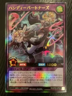 ハンディーガール ハンディーパートナーズ ハンディーガール ハンディーパートナーズ