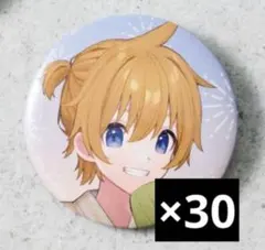 初音ミク　earth music&ecology 鏡音レン 缶バッジ 30点 初音ミク earth music&ecology 鏡音レン 缶バッジ 30点 初音ミク＆鏡音