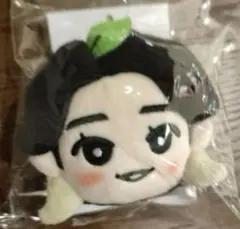 ミセス 韓国 ぬいぐるみ Mrs GreenApple MGA ミセス 大森元貴 韓国 ソウルコン