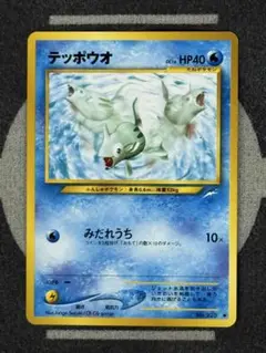 【10点2500円引き】テッポウオ