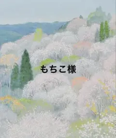 もちこ様　様　専用　詳細必読