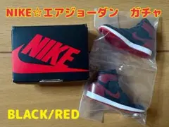 NIKE エアジョーダン　ガチャ　①