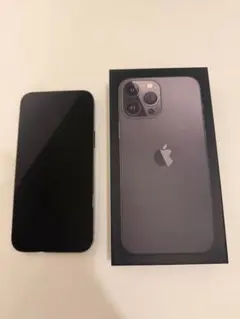iPhone13ProMax 256GB