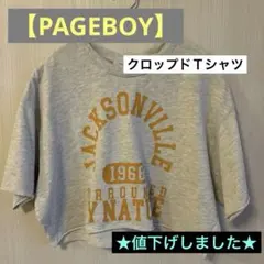 【PAGEBOY】クロップドＴシャツ