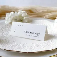 ˗ˏˋ NEW ˎˊ˗　席札_27　横長　ウェディング　結婚式　席札　日本語