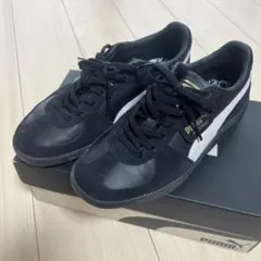 Item thumbnail for item 03314909-8858-4d18-b734-b73de7d6e8cb