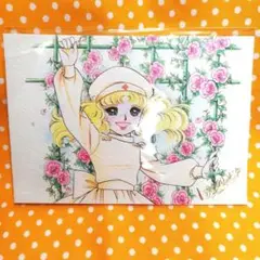 キャンディキャンディ ポストカード/レターパック/漫画 Amazon | いがらしゆみこ ポストカード キャンディキャンディ