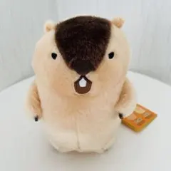 2026年最新】マーモットのもっとっと はまもとの人気アイテム - メルカリ