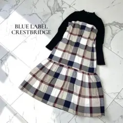 ◆ブルーレーベルクレストブリッジ　 Aライン　ロングワンピース 【36】D340