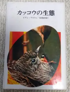 뻐꾸기 생태학 이안 와일리