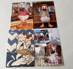 ドナルド ディズニー ドナルドダックポストカード