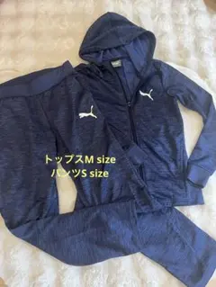 Pumaセットアップ