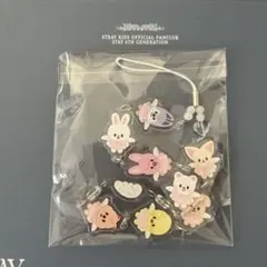 2026年最新】straykids ペンライト キーリングの人気アイテム - メルカリ