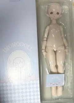 Imomodoll 1/4 男の子ボディ 咪咪犬ボディ Mikoヘッド セット - メルカリ