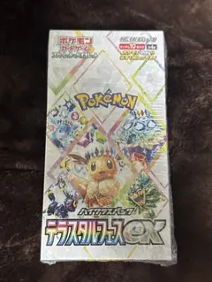 2025年最新】テラスタルフェス boxの人気アイテム - メルカリ