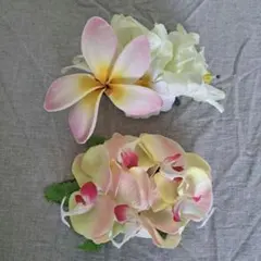 Item thumbnail for item 481a8af2-84b0-4103-841e-ace8afb1f3d3