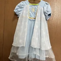 バースデイ　コトリ　プリンセス　アナ雪　エルサ　ドレス