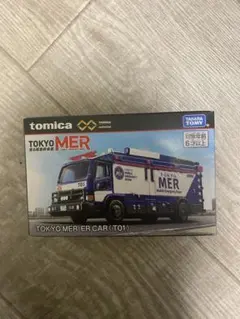 Item thumbnail for item 61703b25-fbe8-4559-b3fb-ad225a43ceb9