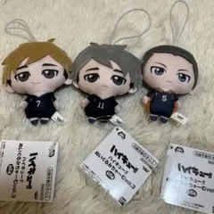 ハイキュー!! ぬいぐるみマスコット 3体セット 宮治 宮侑 田中