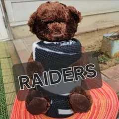 Item thumbnail for item 2fb962d0-2c1d-4f2d-8318-a1c4286efe39