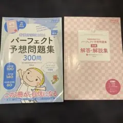 看護師国試2026 パーフェクト予想問題集300問のサムネイル
