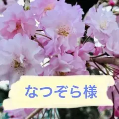 なつぞら様 リクエスト