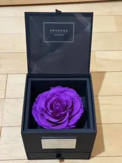 Item thumbnail for item 424cbb5b-58a4-424b-97ef-7b9a9a8c985b