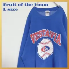 良品USA古着フルーツオブザルームスエットLサイズ青ブルー90s00sY2K