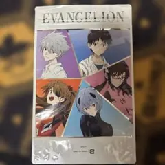 シン・エヴァンゲリオン劇場版ジップ付きポップコーン袋