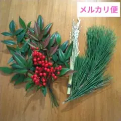 Item thumbnail for item e5cf5d51-556e-42dd-bed8-d51fc11458b2