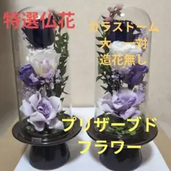 フラワーアレンジ　ジャンボサイズ　プリザーブドフラワー　造花無し　胡蝶蘭 フラワーアレンジ ポリカドーム ジャンボサイズ プリザーブドフラワー