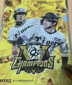 2025年最新】阪神 赤星の人気アイテム - メルカリ