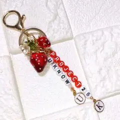 No.439 東方神起 ユノソロコン UKNOW PROJECT26 苺チャーム