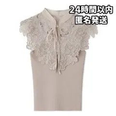 snidel スナイデル レースカラーノースリニット BEG