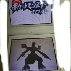 ニンテンドーポケットモンスター ホワイト Nintendo DS