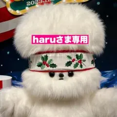 haruさま専用　　2点セット