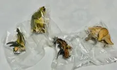 동물 백과사전: 렙티 공룡 03:2 펜타케라톱스