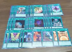 2025年最新】カイザーコロシアム 2枚の人気アイテム - メルカリ