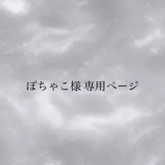 ぽちゃこ様 専用ページ