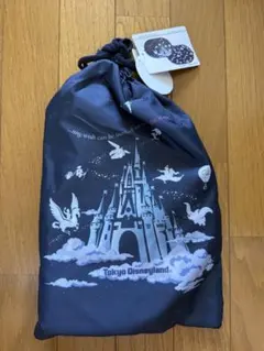 ディズニー リーチフォーザスターズ　ポータブルクッションのサムネイル