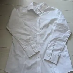 ホワイト コットン レギュラーシャツ