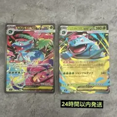 メガフシギバナ ex sar1枚　rr1枚