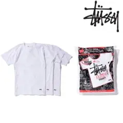 【販売終了】Stussy Hanes Tシャツ Mサイズ 100%コットン STUSSY ステューシー コットン 無地Tシャツ カットソー 半袖 XL