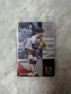 髙橋藍 バレーボール日本代表 トレーディングカード ウエハース　藍　カード　高橋