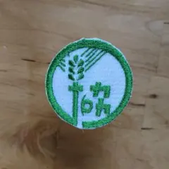 Item thumbnail for item bcdd165c-a555-4848-8e31-084984b0b15e