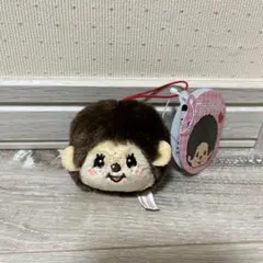 Item thumbnail for item eead558d-ce27-45be-a929-00cab3c344e7