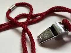 ホイッスルとCartier紙袋のツイスト紐(ショートサイズ付属)